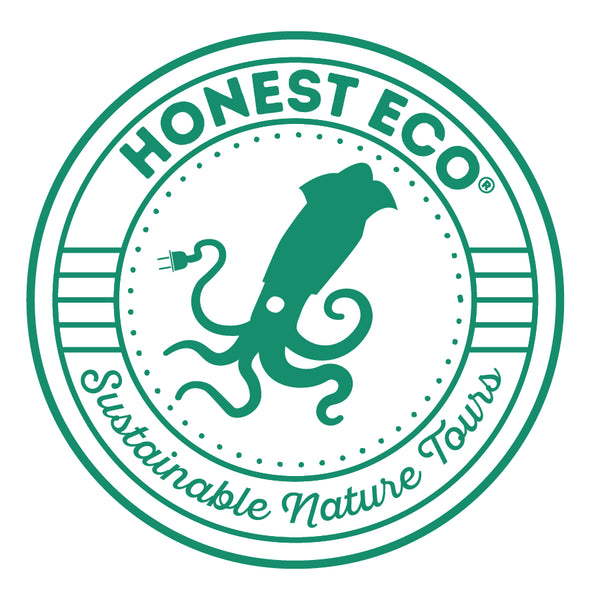 Honest Eco 